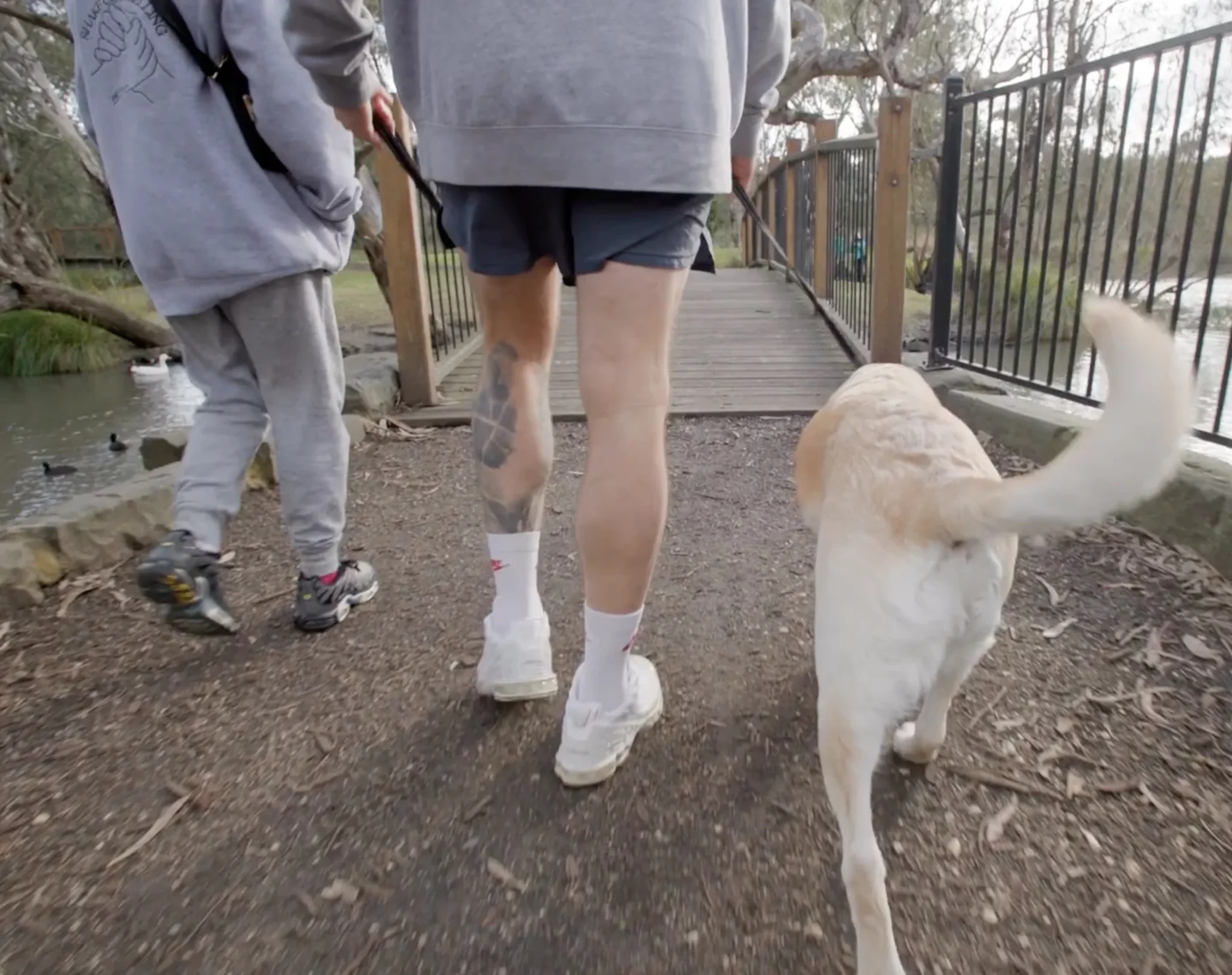 Shake counselling therapist and teenage client walking together outside on a wooden path, with the counsellor's white labradoodle therapy dog on a leash. Caption: Our Geelong counsellors engage teens through walks and animal-assisted therapy.