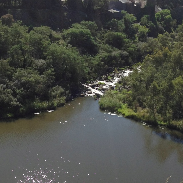 Aerial view of the Barwon River surrounded by green vegetation, showcasing natural spaces used for outdoor therapy sessions